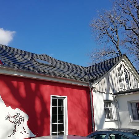 Kleines Studio Im Eichenwaeldchen, 1 Zimmer Kueche Bad Friedrichsgrun Zewnętrze zdjęcie