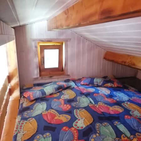 Kleines Studio Im Eichenwaeldchen, 1 Zimmer Kueche Bad Friedrichsgrun Zewnętrze zdjęcie