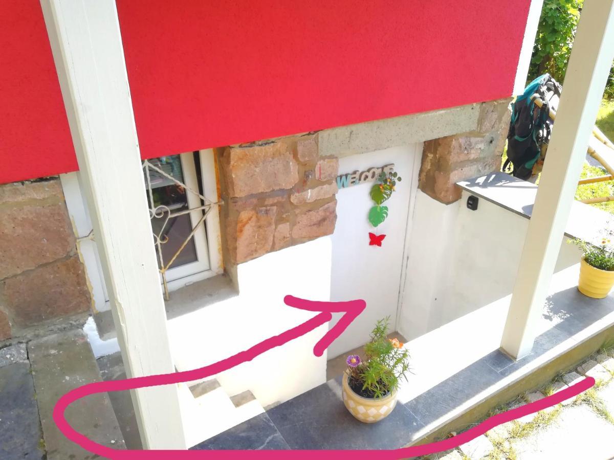 Kleines Studio Im Eichenwaeldchen, 1 Zimmer Kueche Bad Friedrichsgrun Zewnętrze zdjęcie