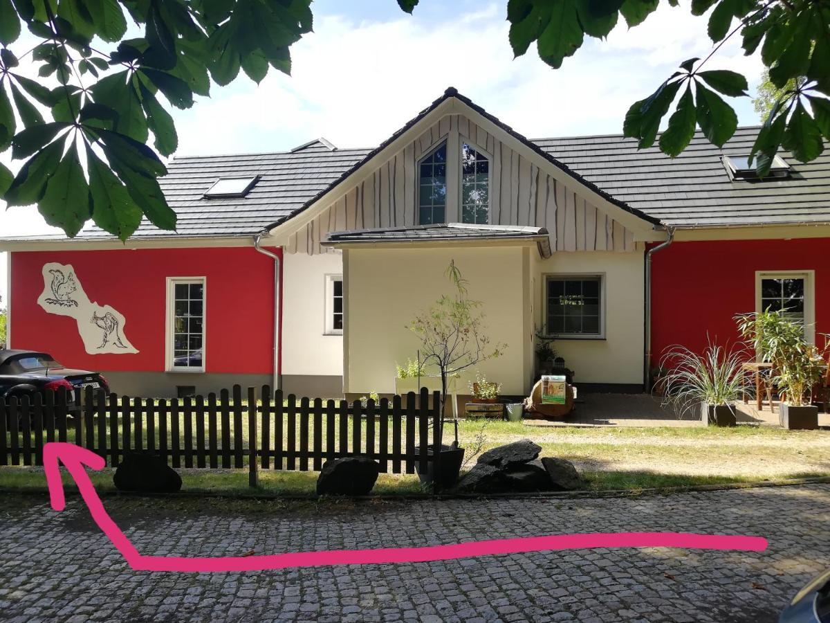 Kleines Studio Im Eichenwaeldchen, 1 Zimmer Kueche Bad Friedrichsgrun Zewnętrze zdjęcie