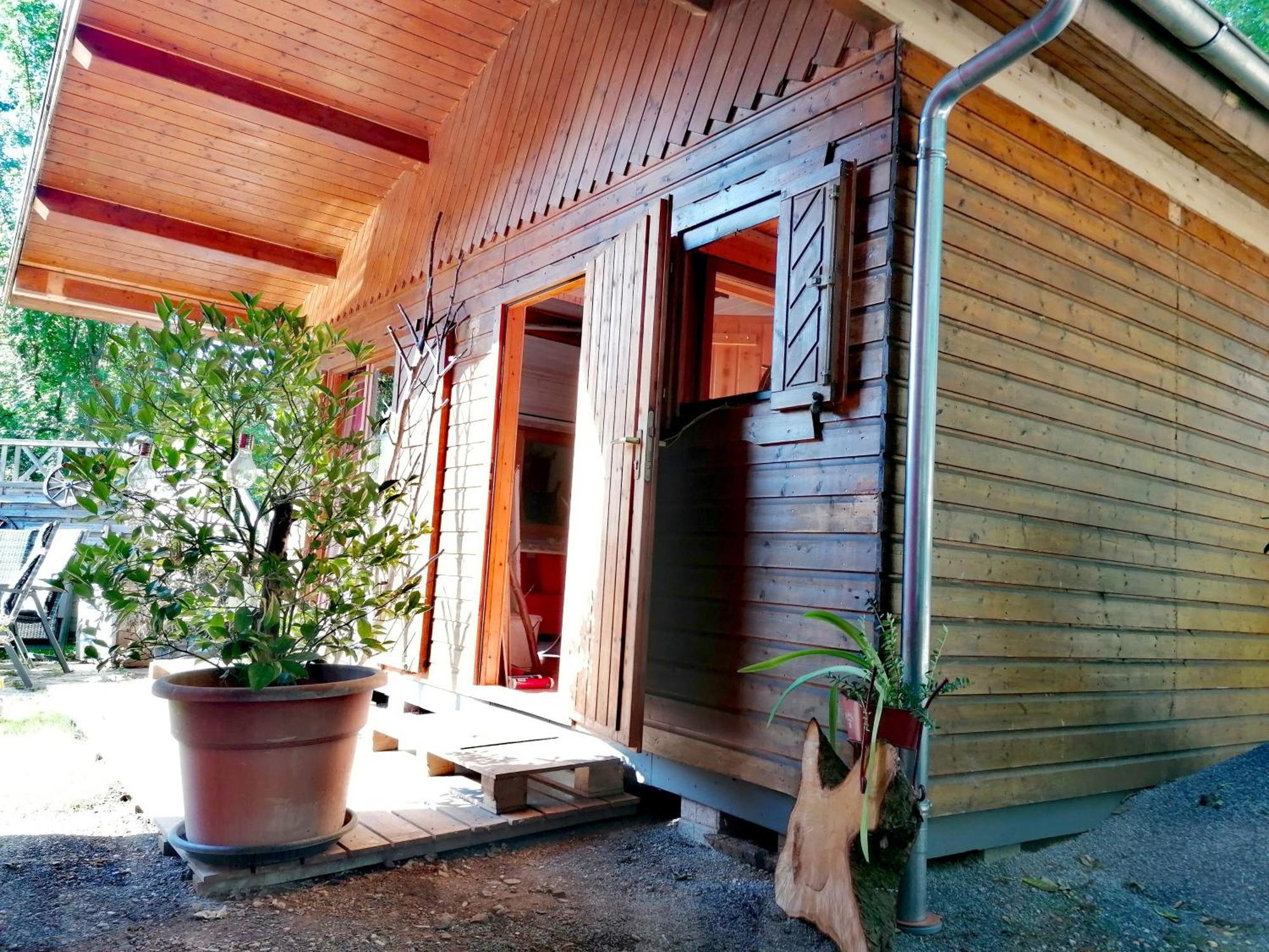 Kleines Studio Im Eichenwaeldchen, 1 Zimmer Kueche Bad Friedrichsgrun Zewnętrze zdjęcie